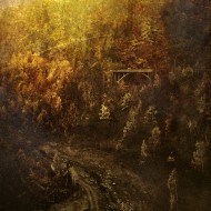 Autumn mist portrait