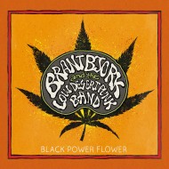 brant-bjork-and-the-low-desert-punk-band-black-power-flower