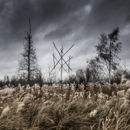 Wiegedood
